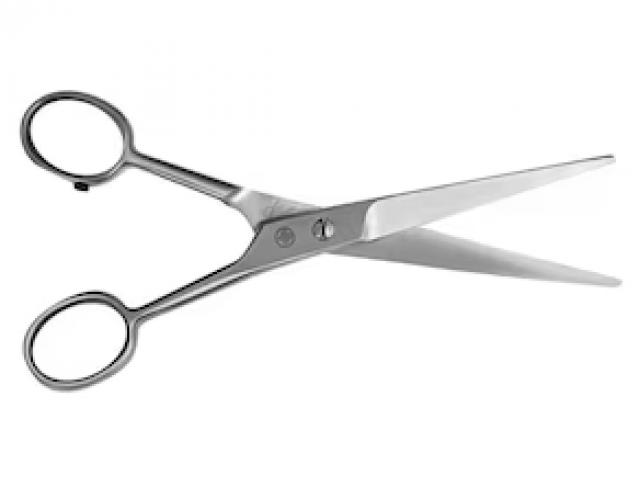 Trimming Wire Scissors